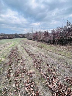 Araç Takasına Açık Kırklareli Merkez'de 5000 M2 Kaçırılmaz Yatırımlık Tarla