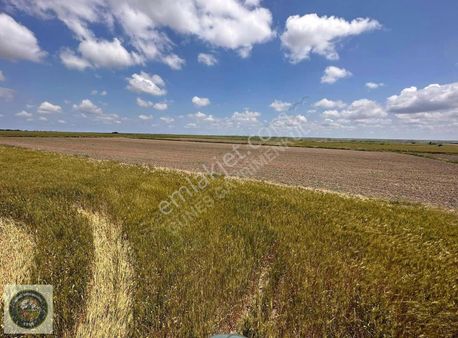 Tekirdağ Saray Beyazköyde Kelepir Yer.