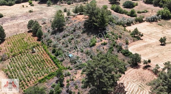 ( Acil Satılık )akyakanın Yaylasında Satılık Fırsat Arazi