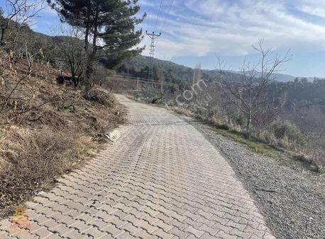 Kuzucak Yol Kenarı Tek Tapu Bağ-bahçe