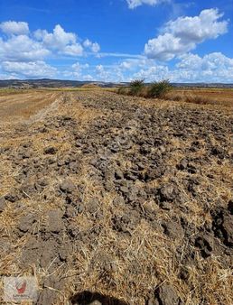 Tek Tapu Yatırımlık Tarla