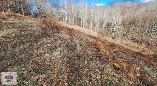 Gedikpınar Mahallesi'nde 816 M2 Acil Satılık Arsa!!!