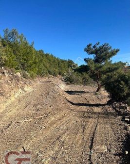 Kelepir Fiyata Satılık Kuyucak Da Bahçe