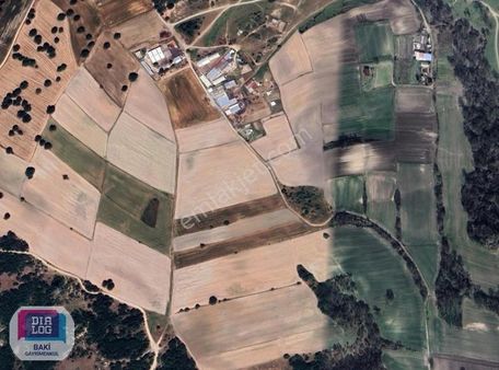 Yol | Çevresi Çiftlik | Ormana Komşu | Sanayiye Yakın | Müstakil