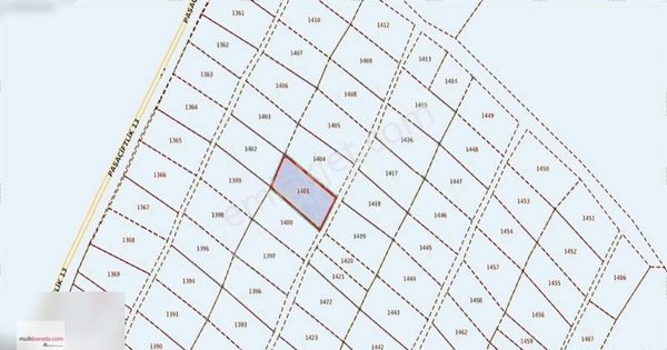 Arte Den Gönen Paşaçiftlik De 659 M2 Satılık Zeytinlik Bağ Ev