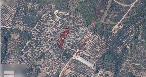 Arteden Çeltikçi De 1.000 M2 Deniz Mazaralı Hobi Bahçesi