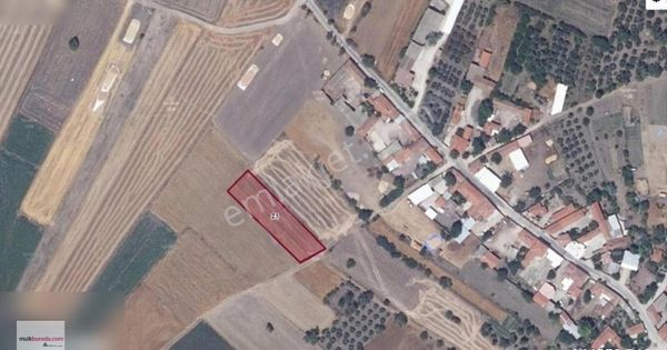 Arted'en Gönen Paşaçiftlik Köy İçinde Yola Sıfır 2.000 M2 Tarla