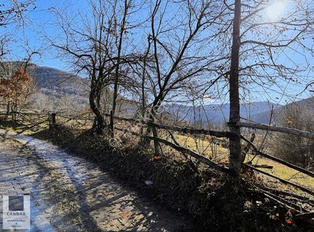 Bursa İznik Elmalı Mahallesinde Resmi Konut İmarlı Arsa