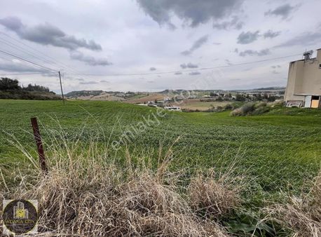 Kozan Yoluna 2. Parsel Tek Tapu 8247 M2 Asfalt Üstü