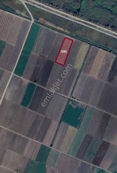 Rs Mutlu Mustafakemalpaşa Kumkadı 7500 M2 Resmi Yolu Olan Arazi