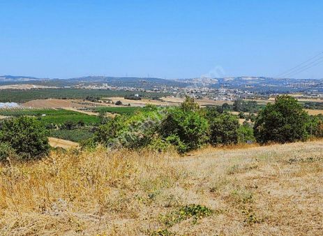 Yolçatı Da 2560 M2 Manzaralı Müstakil Parsel Arazi