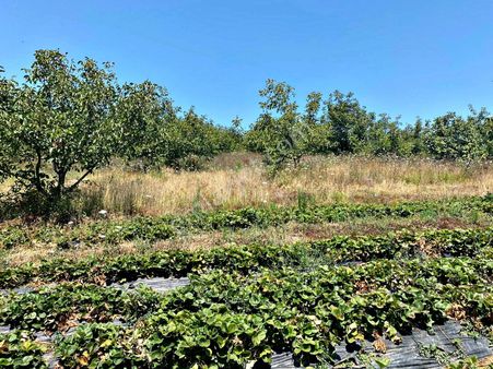 Bursa Karacabey Yarış'ta Doğa Manzaralı Satılık 10.255 M2 Arazi