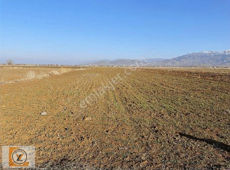 Elazığ Kuyulu Köyünde Satılık Fırsat Tarla