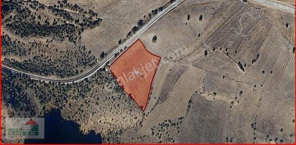 Necip Emlaktan Çorumda Merkez Köylerinde Satılık Arsa