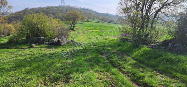Çanakkale Biga İlyasalan'da Deniz Manzaralı Fırsat Satılık Tarla