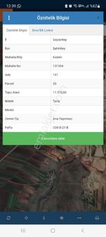 Kazıklıda Satılık Fıstık Bahçesı Kilis Afsaltı Üzerı