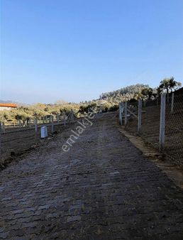 Kemalpaşa Yukarı Kızılcada Köye 1 Km Mesafede 303m² Araziler