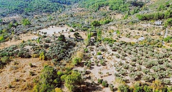 Kemalpaşaya Çok Yakın Konumda Soğukpınar Tapulu 400 M² Araziler