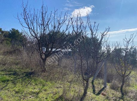 Bornova Yaka'da 339m2 Etrafnda Bir Çok Komşusu Olan Tapulu Arazi