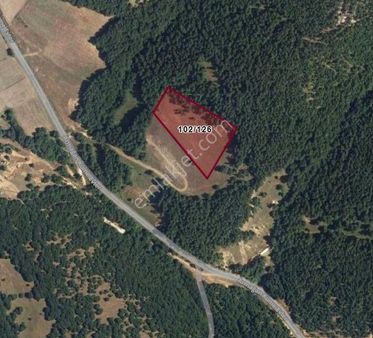 Kırklareli Armağan Köyü Satılık Orman İçi Arazi