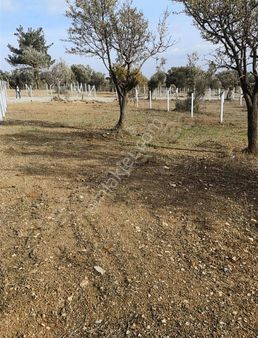 Kemalpaşa Çambelde Muhteşem Konuma Ve Manzaraya Sahip 410m²