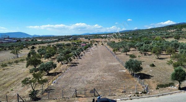 Kemalpaşa Sütçülerde Otoban Bağlantılı Satılık 3979 M² Arazi