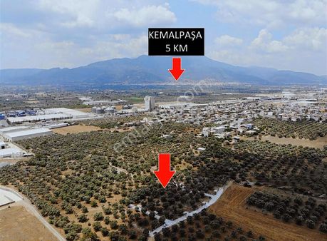Kemalpaşa Sütçüler'de Araç Takaslı 512m2 Paylı Mülkiyet Bahçe !