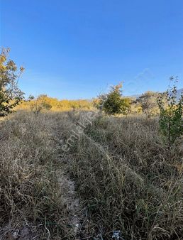 Armutlu Hürriyet Merkeze Yakın Satılık 7.087 M² Müstakil Parsel