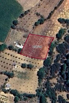 Kuşbabada 1 Dönüm Elektrik-su Alınabilir Tarla...