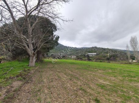 Çine Bedirler'de Yola Sıfır, Artezyenli 18 Dönüm Satılık Tarla ,su Kenarı Ve Kolay Ulaşım İmkanı!