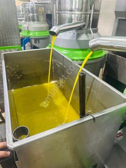 Uyaran79 Gayrimenkulden Kuskunkıran Da Uygun Zeytinlik