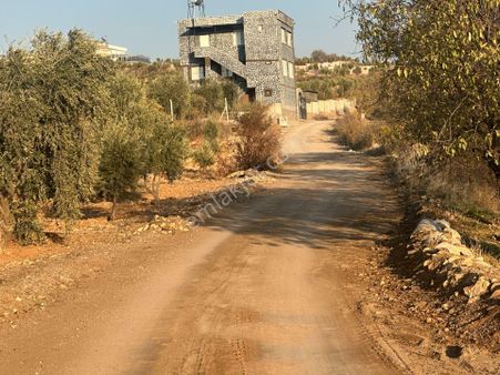 Uyaran79gayrimenkul Asfalt Üstü Bağ Evi Yapımı İçin Uygun Zeytin