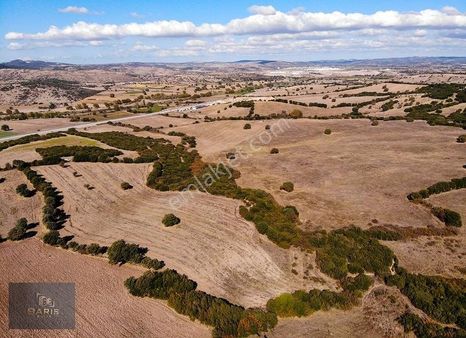 Çanakkale Ezine Çarıksız Köyünde Karayoluna Yakın Satılık Tarla