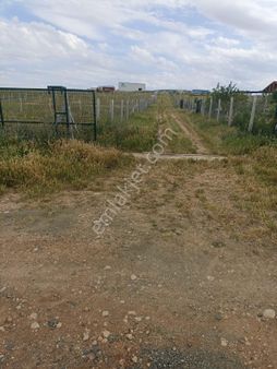 Tapudan Satış Yapılabilen Bahçemiz Yatırım Amaçlıda Alınabilecek Bi Yer