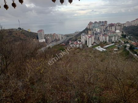 Serkan Emlaktan Beşirlide Satılık Arsalar