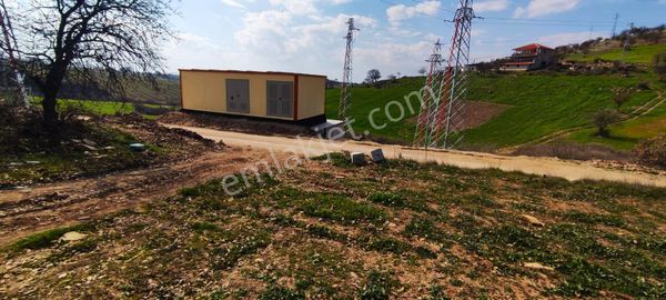 Salihlide Satılık 27893 M2 Zeytinlik Ve Meyvecilik İçin İçin Uygun Tarla