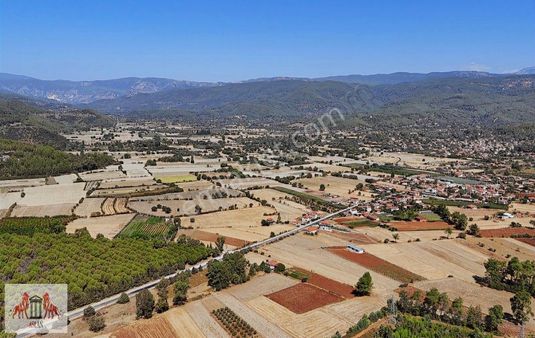 Akyaka Köyceğiz Arası 1705 M² Tarla