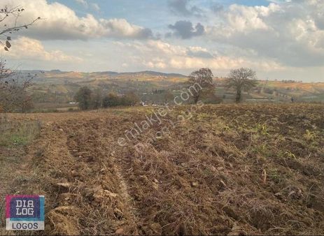 Kocaeli Kandıra Sinanlıbilallı Mahallesinde 9.777 M2 Satılık Tar