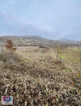 Orhaneli Altıntaş Mahallesinde Tek Tapu Tarla