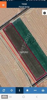 Kisecik Soğla Gölüne Yakın Sulanır Arazi