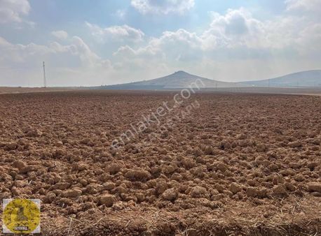 Realite Tapu 63 Celal İkbal Den Satılık Emsalsiz Villa Kent Yeri