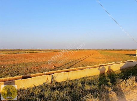 Realite Tapu Gayrimenkulden Akçakale De Arazi