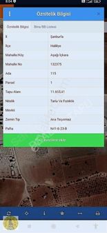 Realite Tapu Dan Aşağı İçkarada Müstakil Asfalt Yanı Bağevi