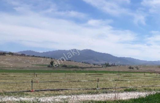 Niğde Merkez Çavdarlı Satılık 7.958 M2 Sulu Arsa