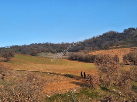 🏠lider Gayrimenkul'den Eşme Yeleğen Kasabasında Satılık 26,5 Dönüm Tek Tapu Düz Tarla🏠