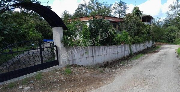 Z Grup Ordu Çamaş Çavuşbaşı Mahallesi'nde Satılık 4.5 Dönüm Bahçe Ve İçinde Müstakil Ev