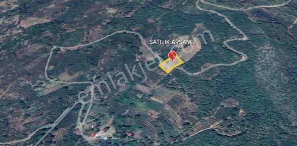 *doğa Ile İç İçe Arsa Fırsatı! Sakarya Akyazı Dokurcun'da*