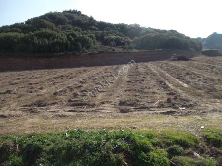 Manisa Ahmetli İlçesinde Ankara Yolu Üzerinde Satılık Tarla 1200 M2 Kapalı Alan Yapılır