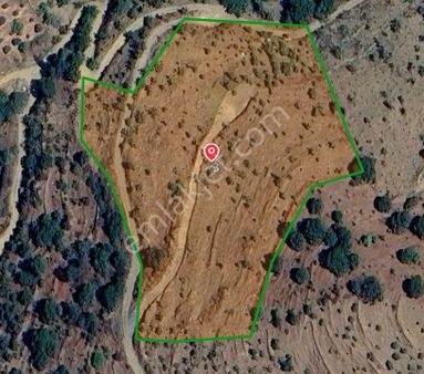 Satılık Bahçe – 11.780 M², Elektrik Aboneliği Mevcut!