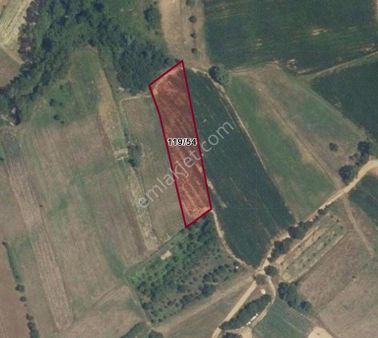 Kırklareli Armağan Köyünde 2.448 M2 Satılık Arazi